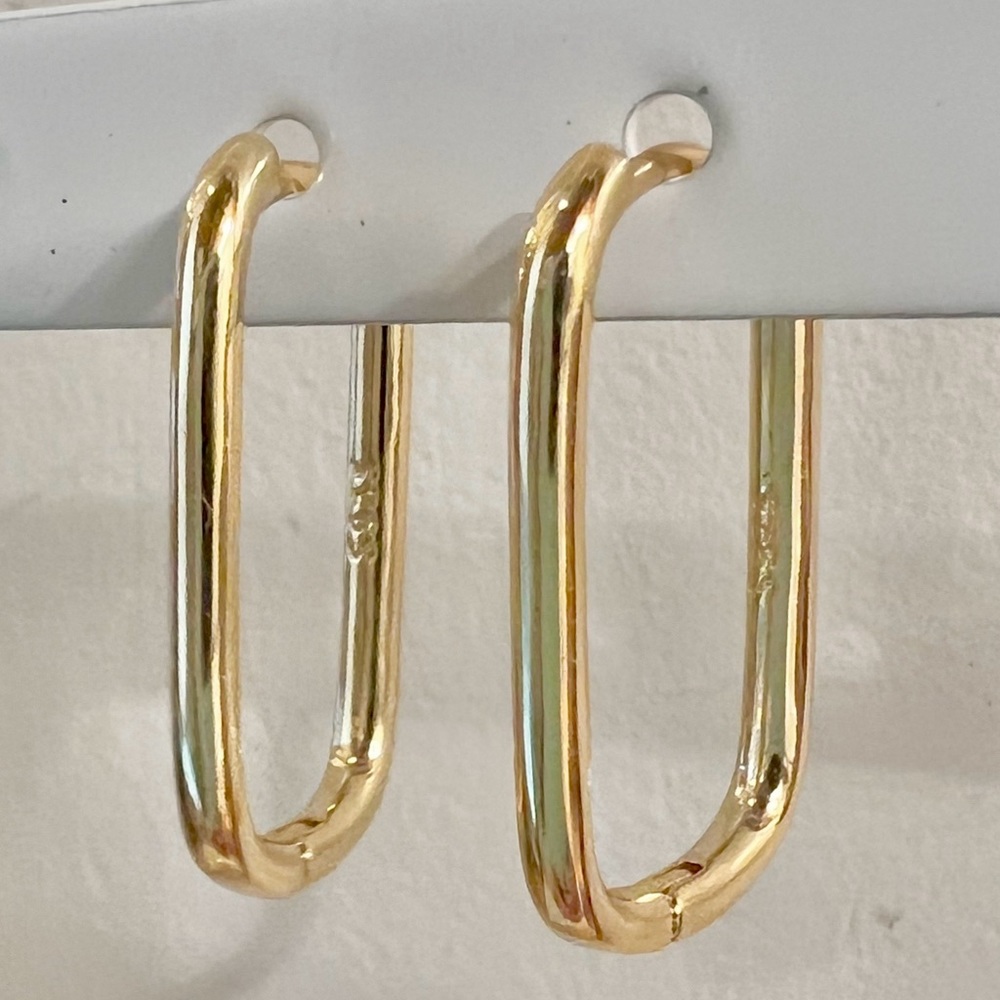 NWOT Gold Filled Hoop Earrings